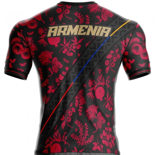 Armenia football jersey AR-55 unitif.com