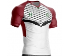 Palestine football jersey PL-14 for supporters unitif.com