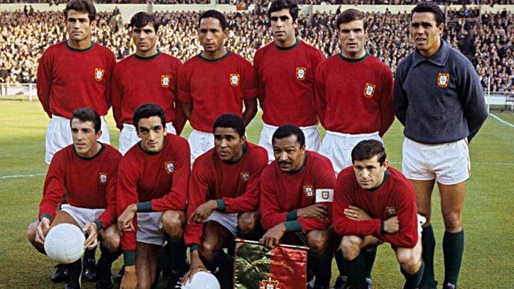 Maillot Domicile Portugal 2013-2014 Nike - Homme Taille S - Numéro 16