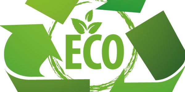 Maglie da calcio e ambiente: come scegliere una maglia eco-responsabile